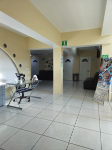 Recepción 11